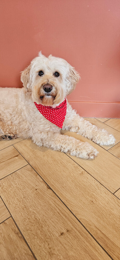 Bandana hartjes rood/wit