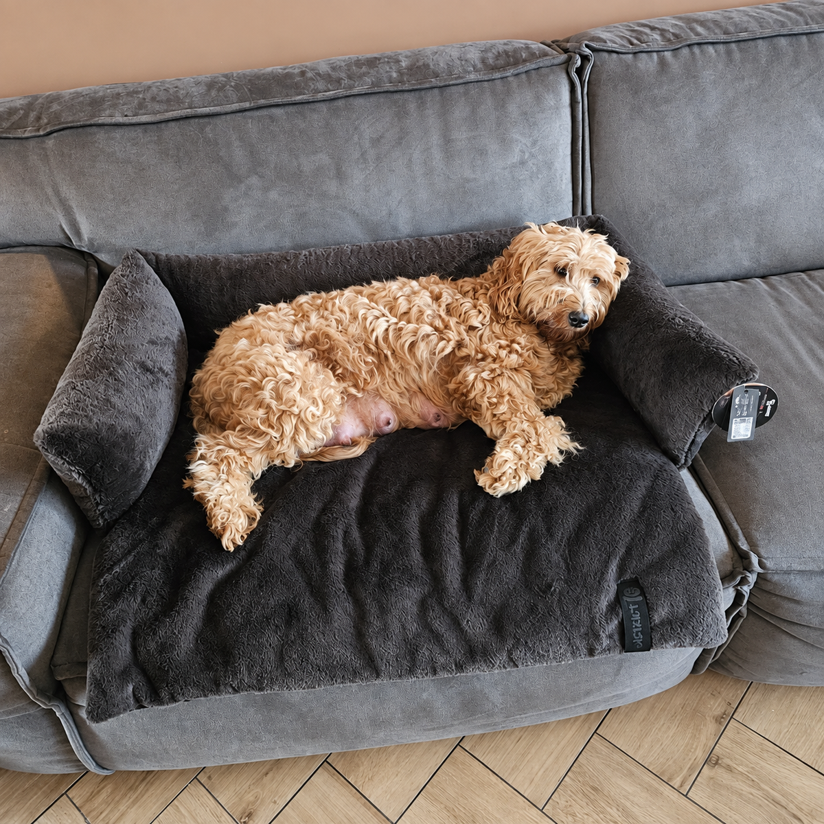 Hondenmand voor op de Bank – District 70 NUZZLE voor Labradoodle