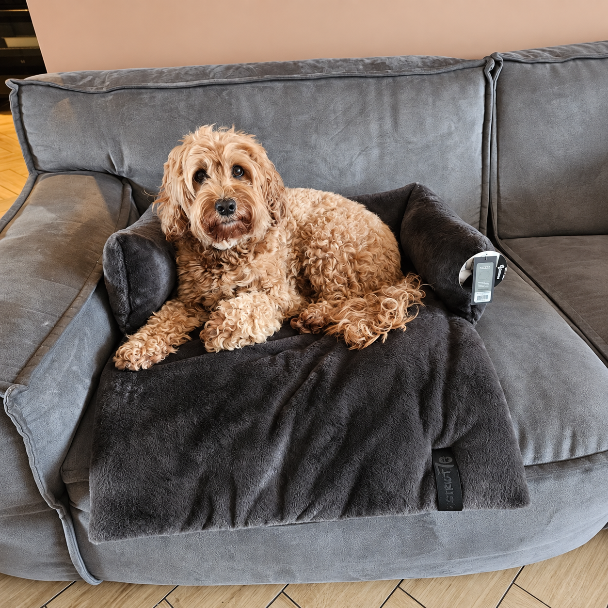 Hondenmand voor op de Bank – District 70 NUZZLE voor Labradoodle