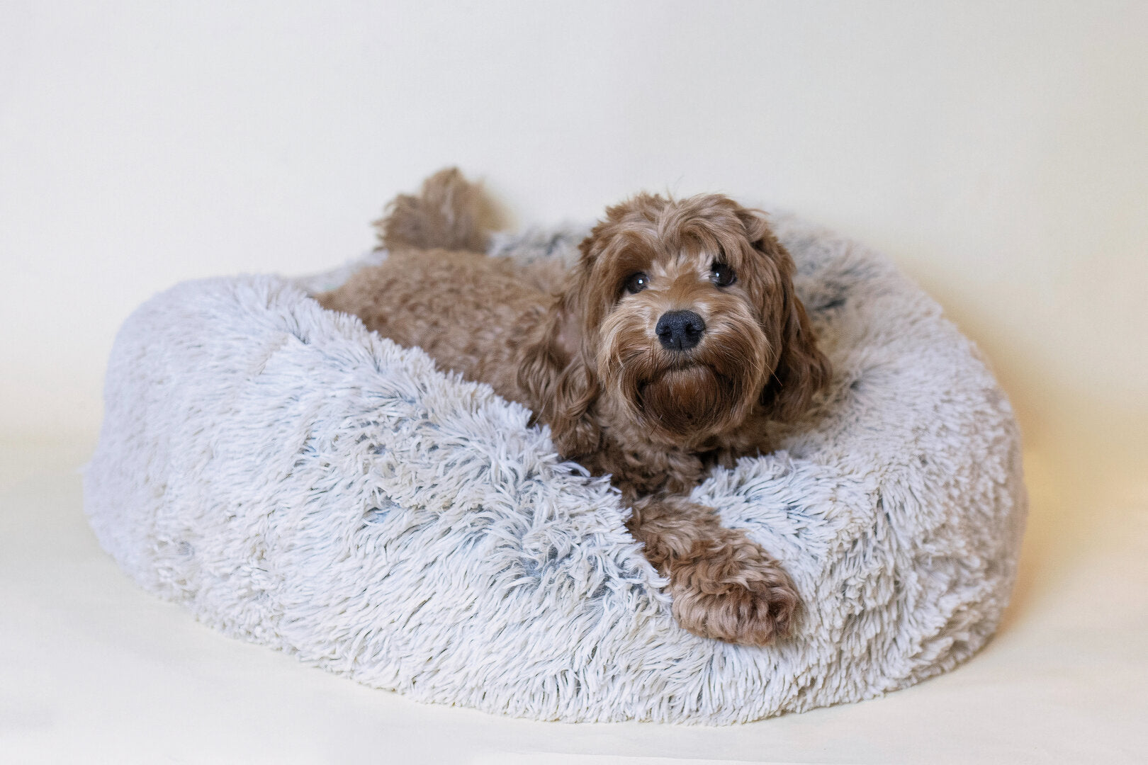 Complete doodle Comfort Set 107 cm – Bench met Schuifdeur + grote mand & Accessoires (meest gekozen)