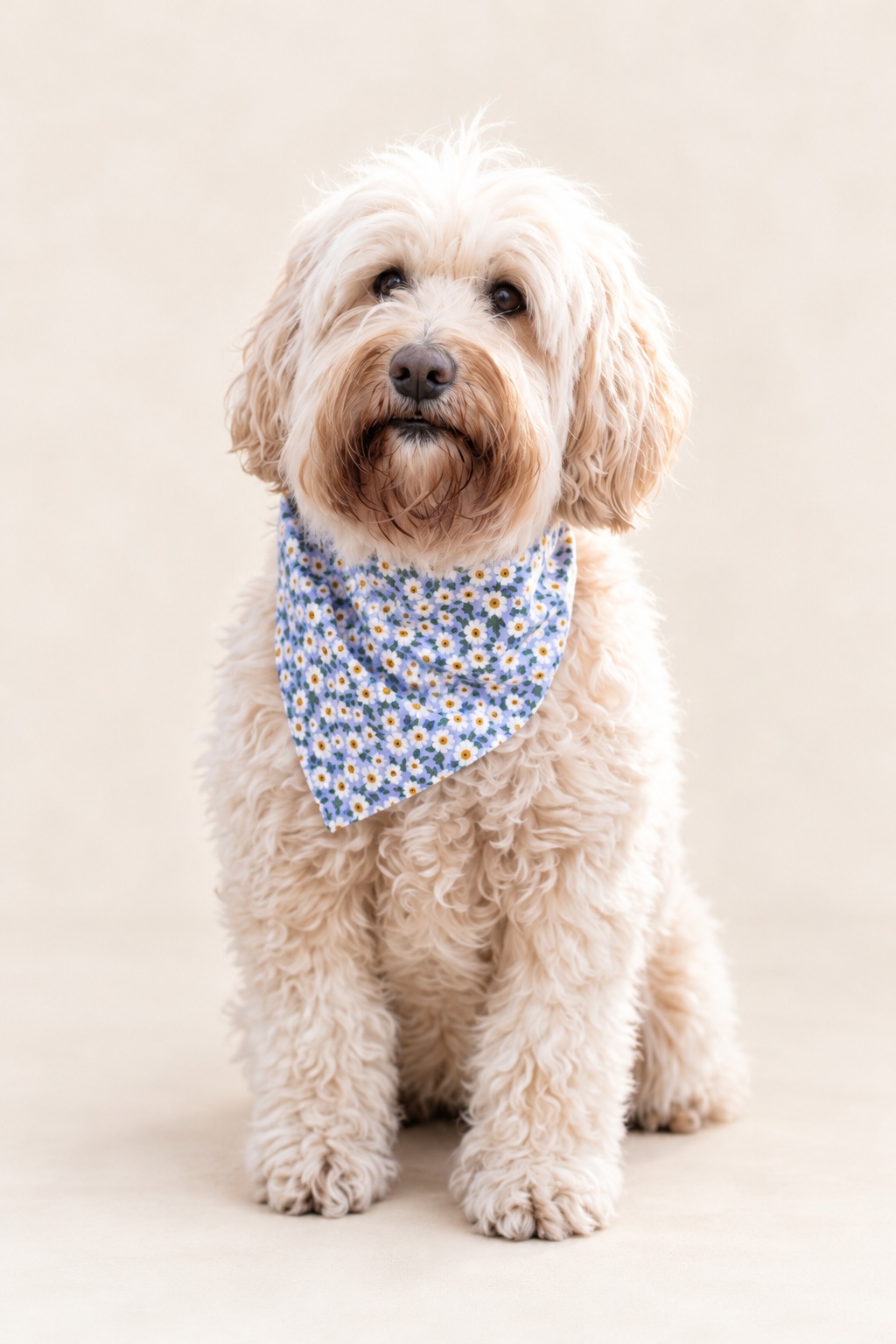 Hondenbandana met vlinderdas – groen & paars