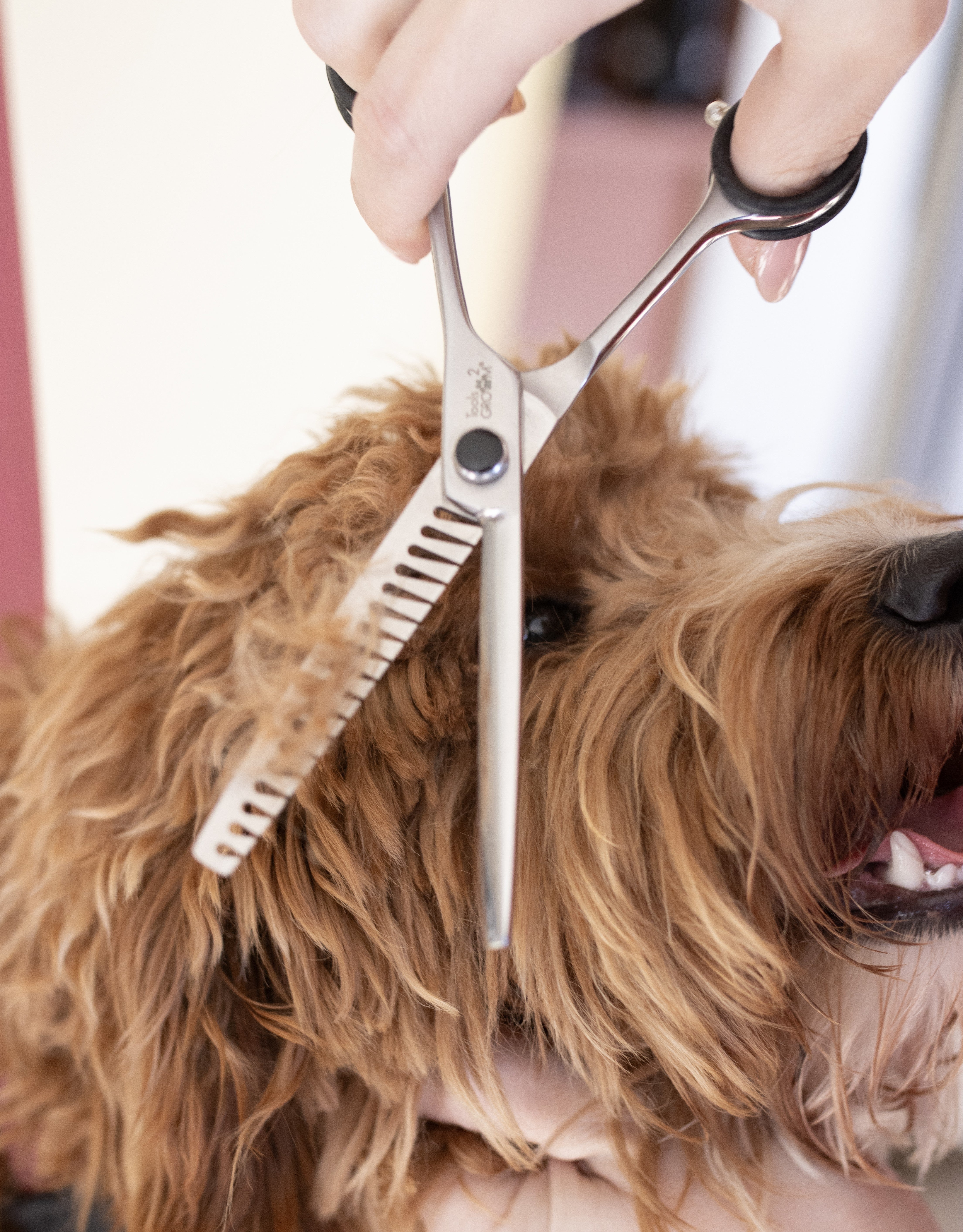 Hondentrim Chunker 7’’ – Rainbow Razor – Voor Labradoodle & Doodle
