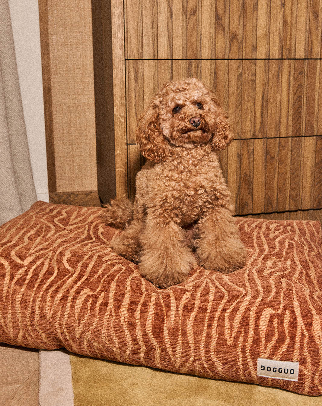 DOGGUO Ethnic orthopedisch hondenkussen - Beige/Bruin - sfeerbeeld met hond