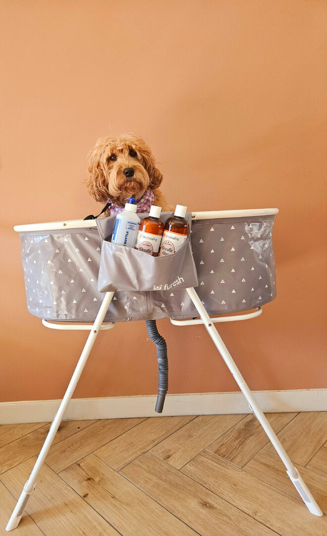 Labradoodle Was Pakket – Complete Doodle Verzorgingsset met Hondenbad