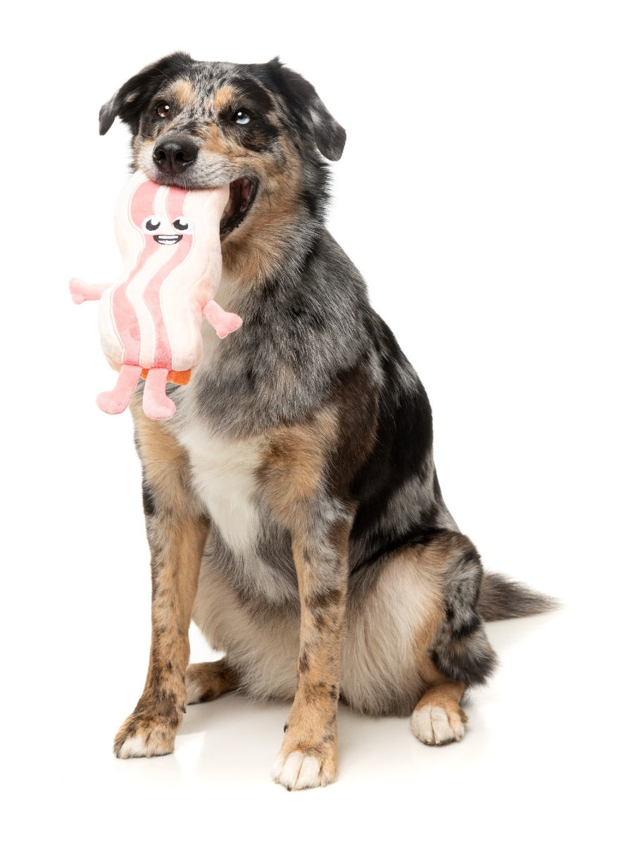 Hond draagt de zachte FuzzYard Kevin Bacon-Strip knuffel in zijn bek