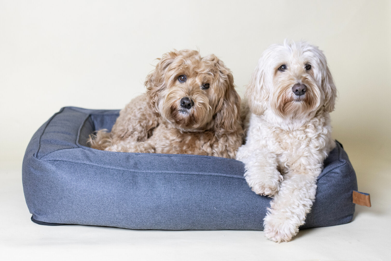 Hondenmand Labradoodle – Carlota Rechthoekig Grijs (Ondersteunend & Wasbaar)