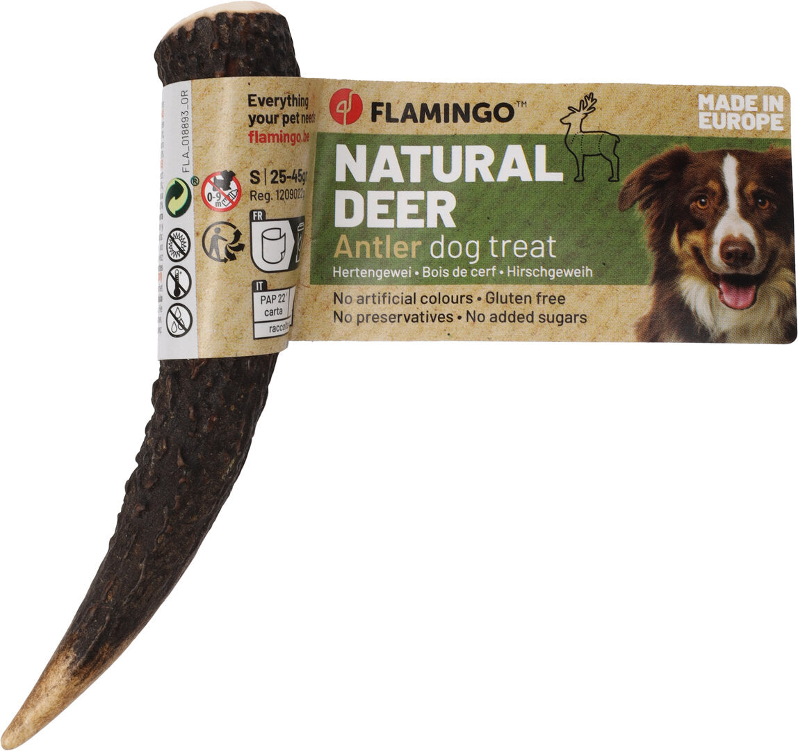 Hertengewei Hond (Hard) – Natuurlijk Kauwbot voor Sterke Kauwers | Betuwse Labradoodles