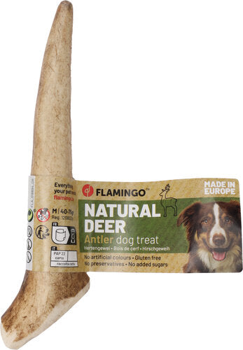 Hertengewei Hond (Hard) – Natuurlijk Kauwbot voor Sterke Kauwers | Betuwse Labradoodles