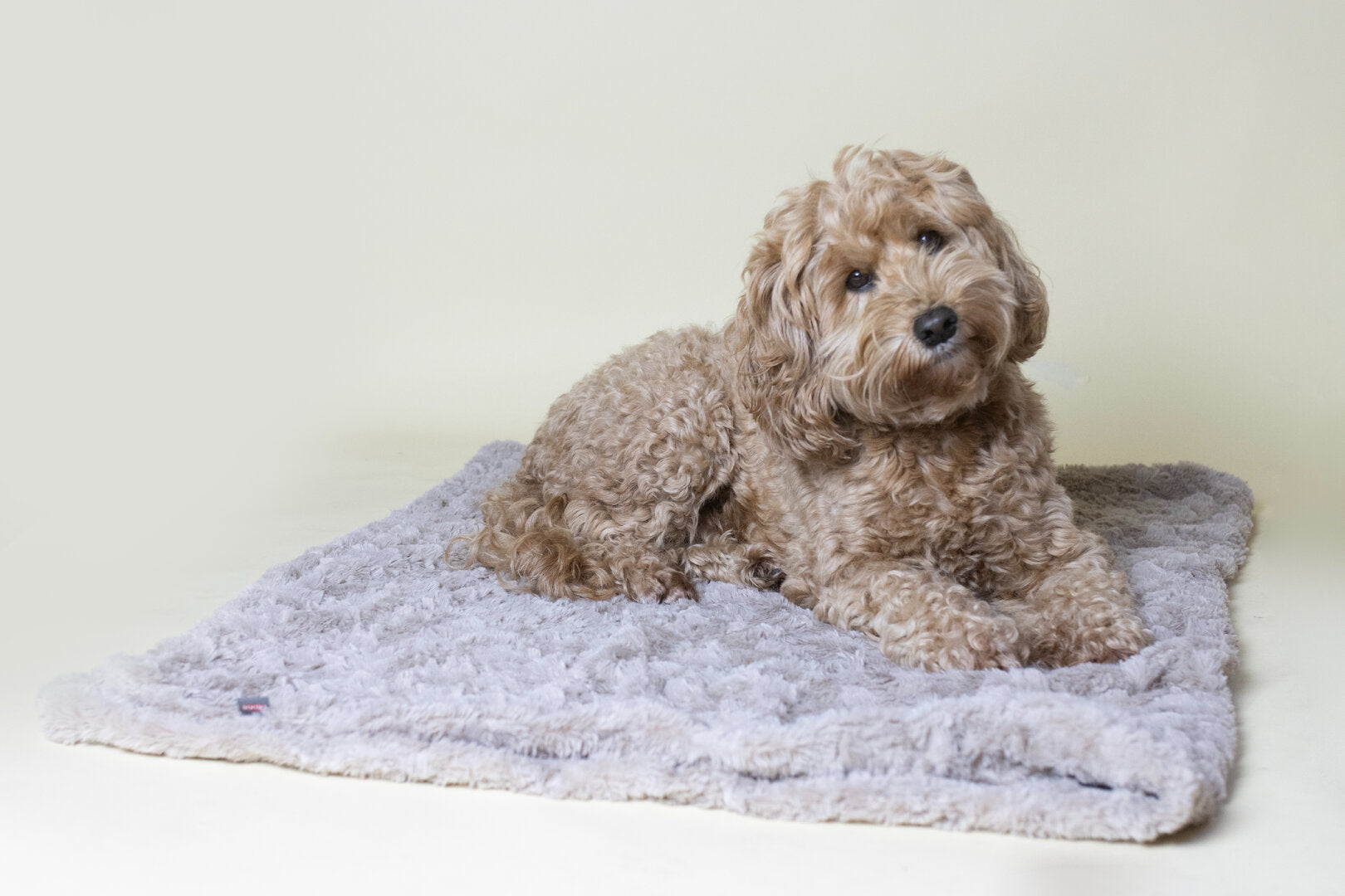 Kalmerende AirLOFT Hondendeken – Superzachte Deken voor Labradoodle, Bench, Bank & Auto (101x76 cm)