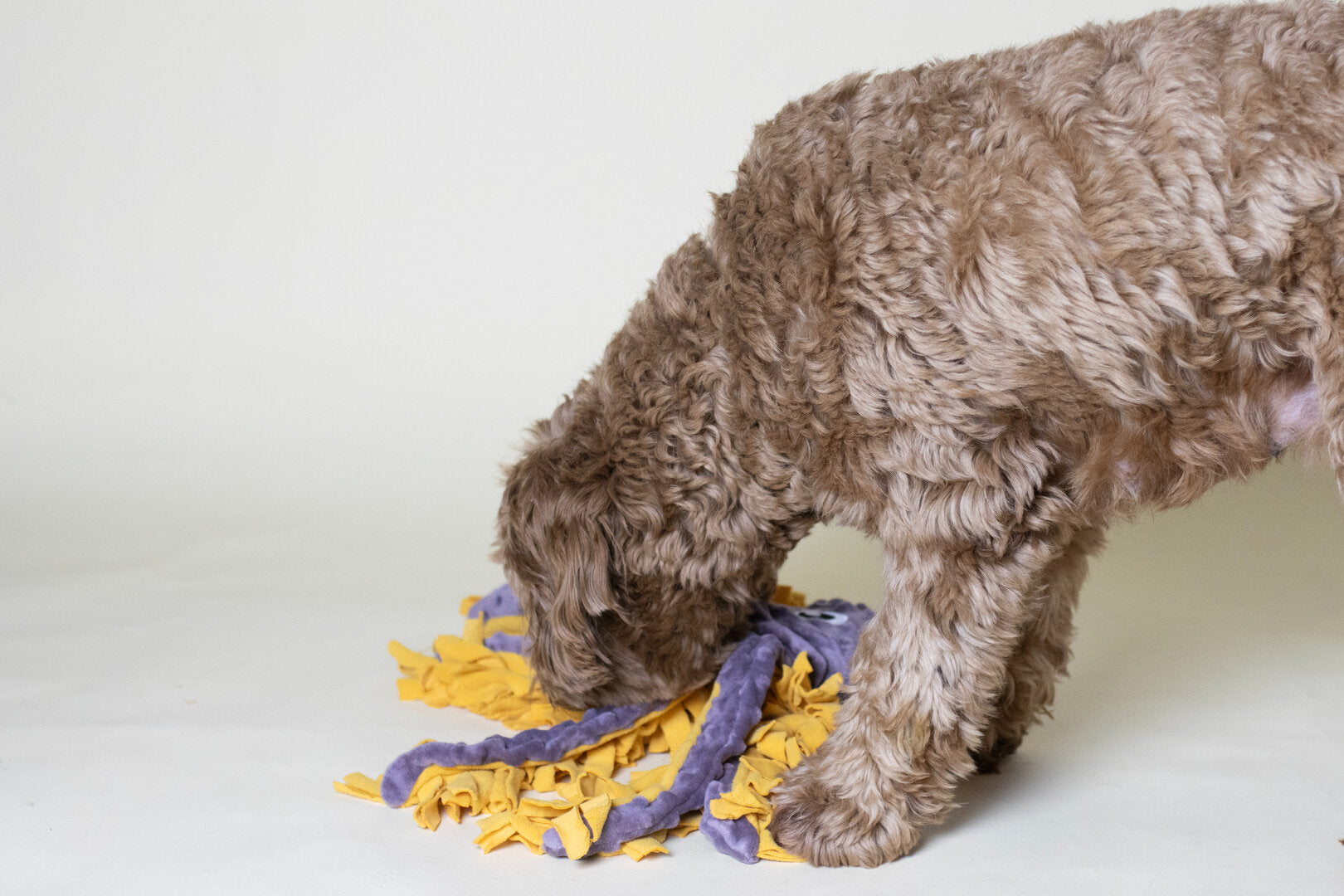 Snuffelmat Puppy Inktvis – Labradoodle Snuffelmat & Puppy Denkspel