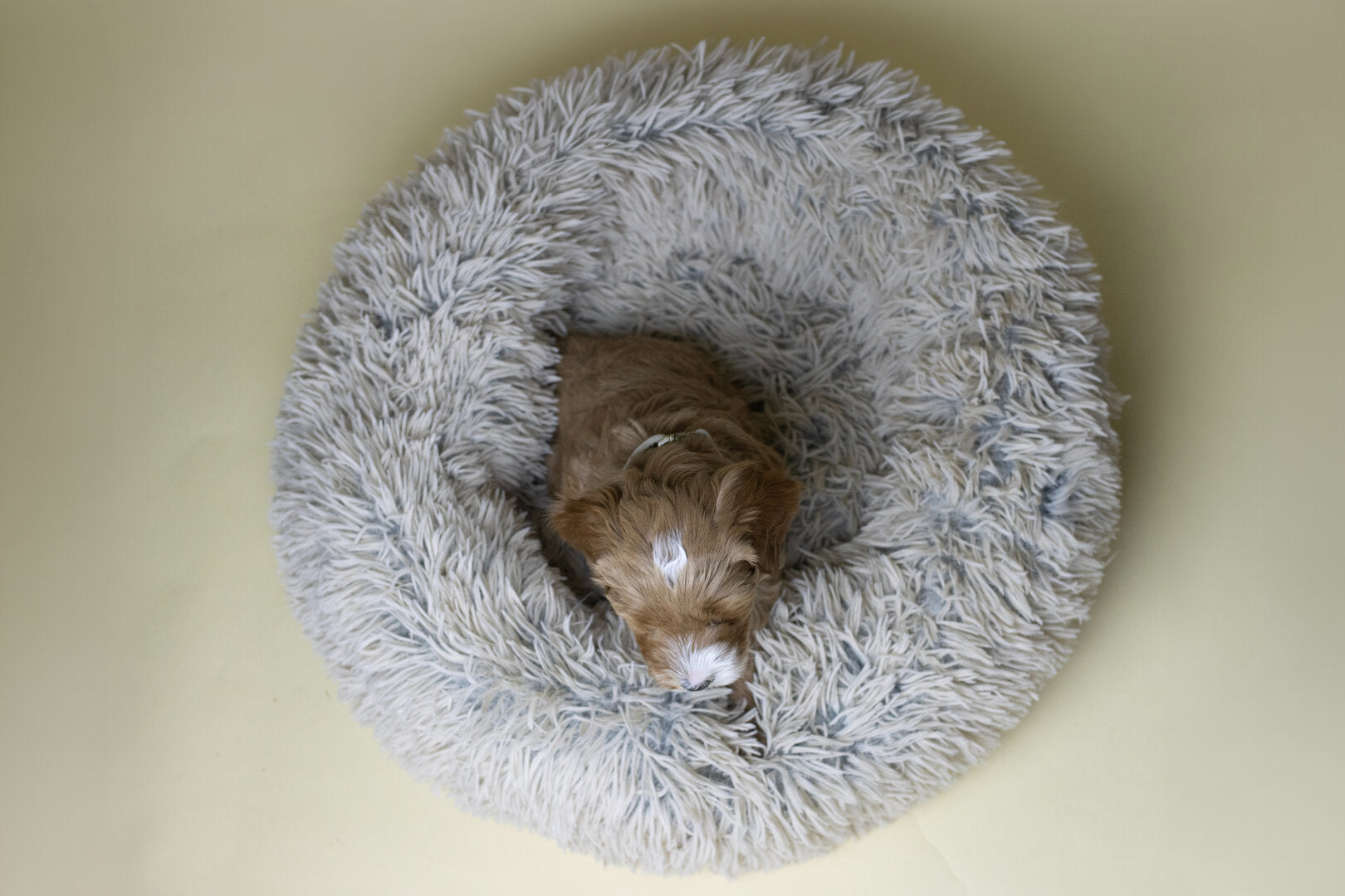 AirLOFT Donut Hondenmand taupe – Fluffy Kalmerend Bed voor Labradoodle & puppy's
