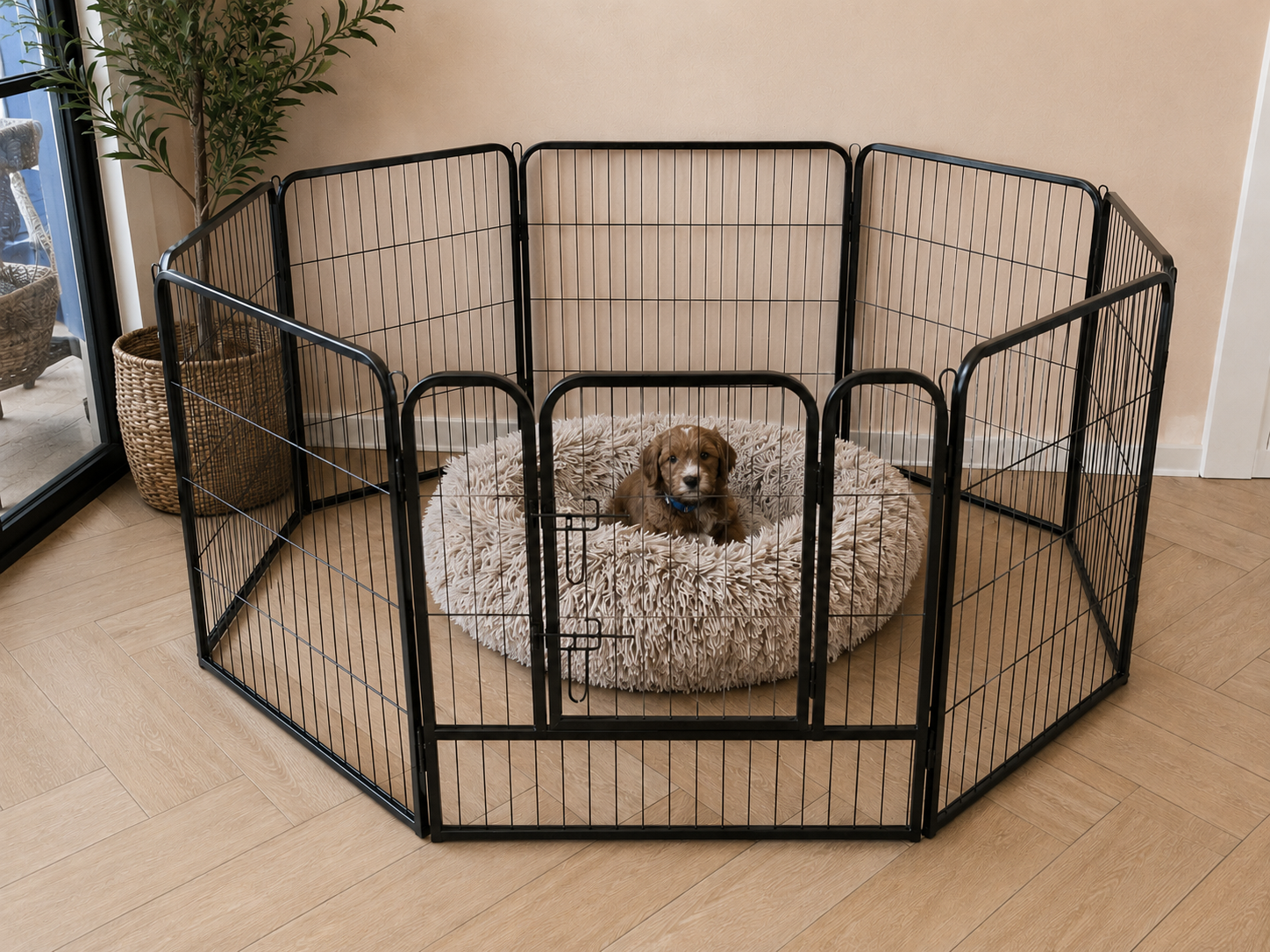Puppyren voor Labradoodles – 640 cm Verstelbaar & 80 cm Hoog