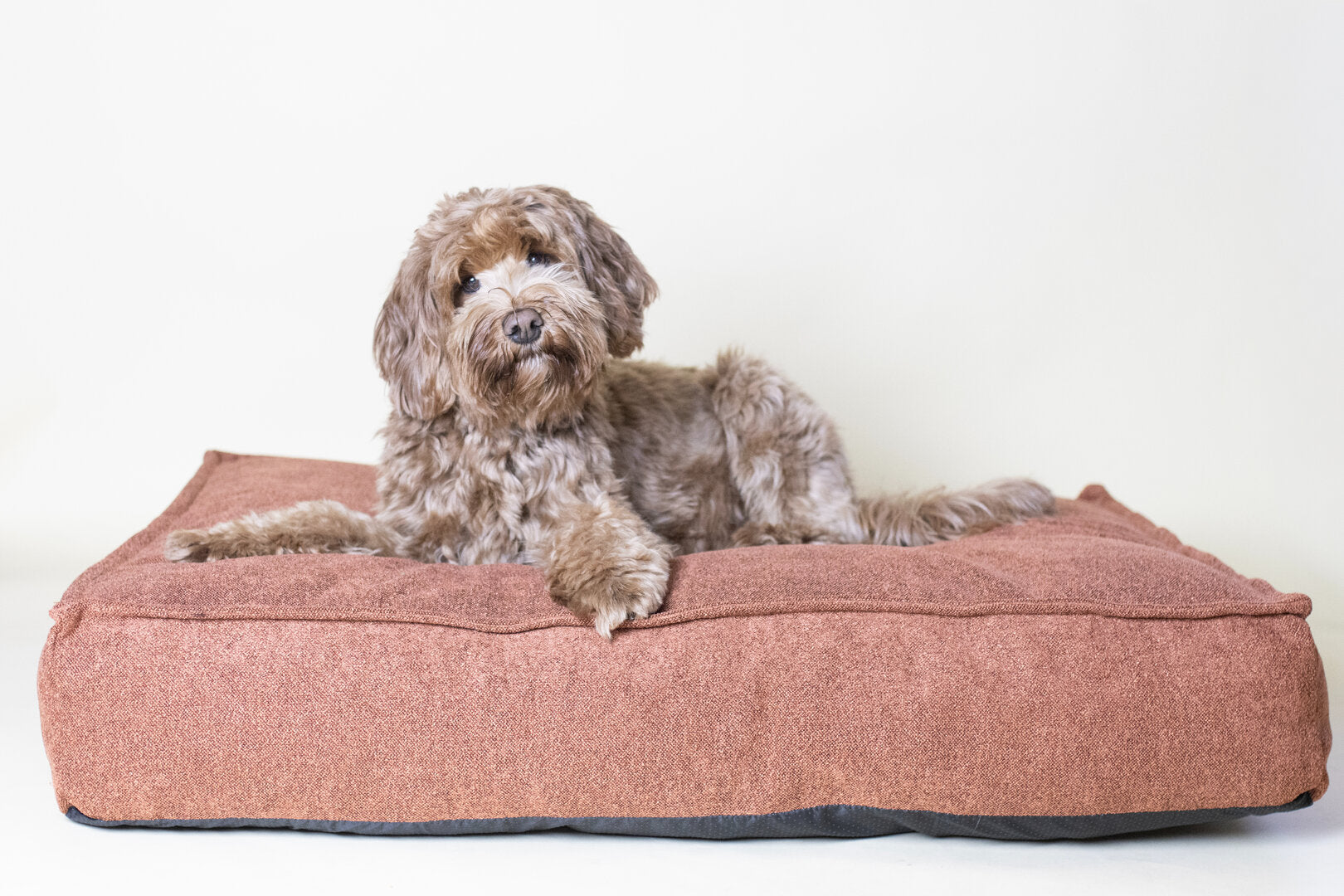 Hondenkussen Labradoodle – Oana Rechthoekig Terracotta (Memory Foam)