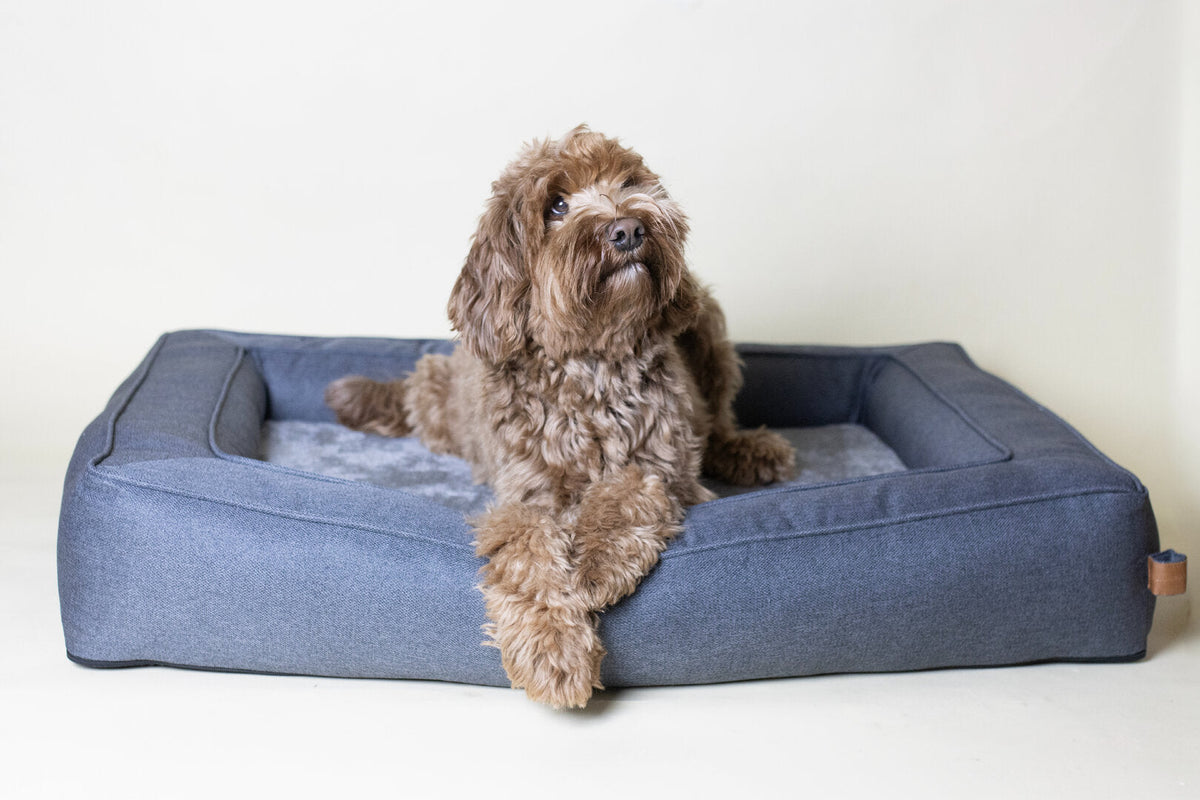 Hondenmand Labradoodle – Carlota Rechthoekig Grijs (Ondersteunend & Wasbaar)