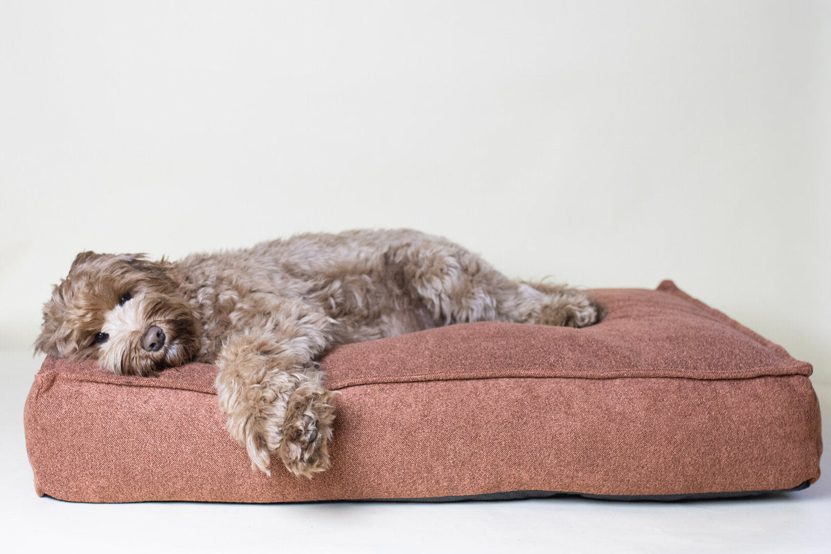 Hondenkussen Labradoodle – Oana Rechthoekig Terracotta (Memory Foam)
