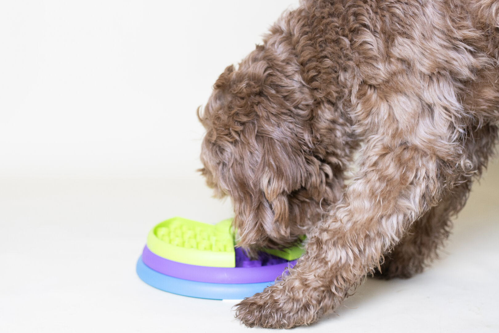 Slowfeeder Puzzel voor Labradoodles – 3-Laags Anti-Schrok Voerbak