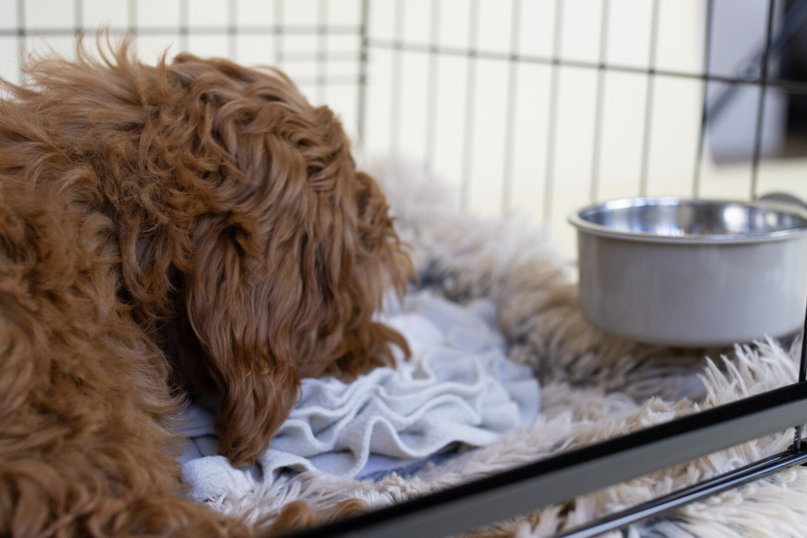 Complete Labradoodle Comfort Set 76 cm – Bench met Schuifdeur + Mand & Accessoires (Meest gekozen)
