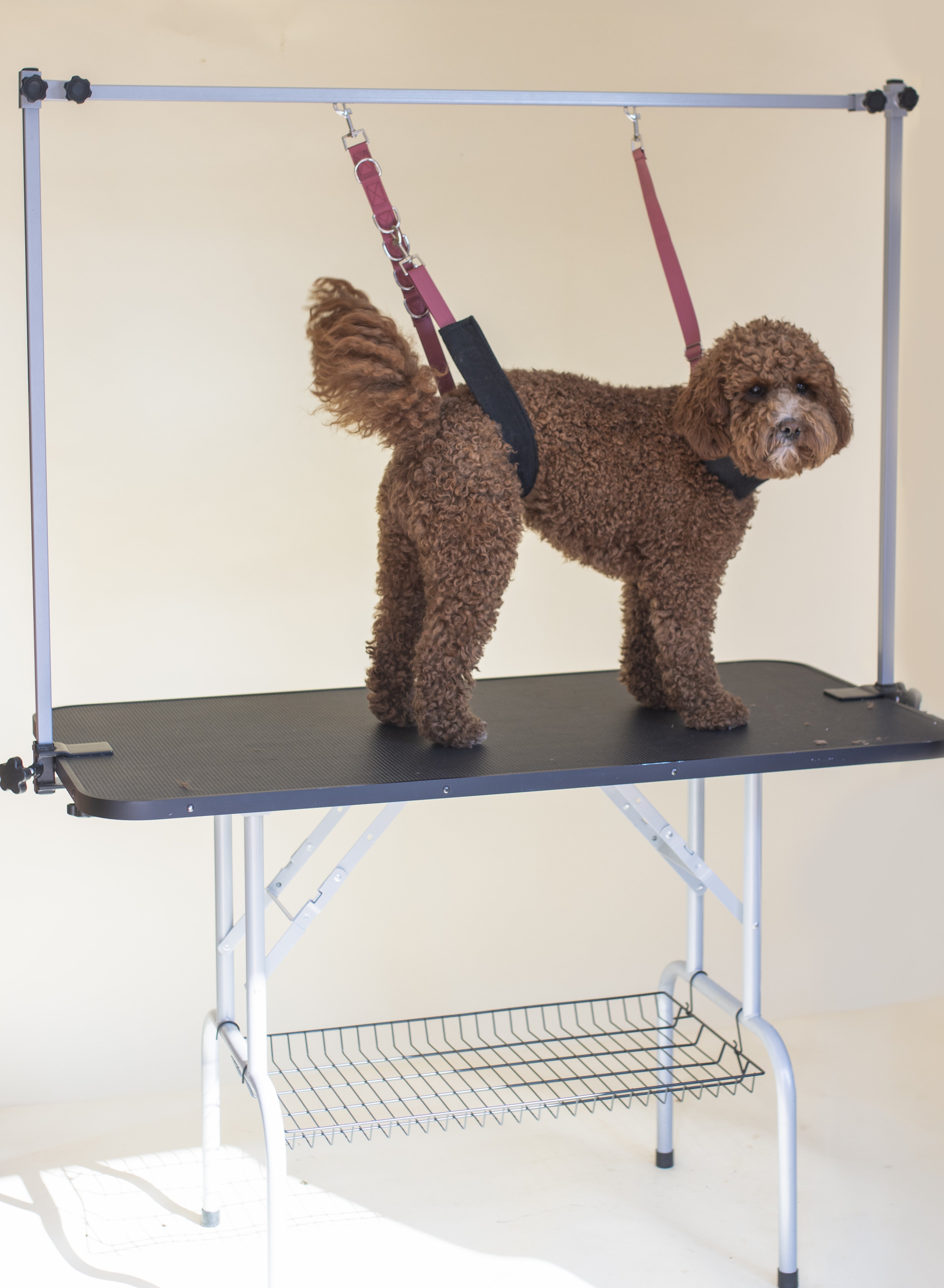 Trimtafel voor Labradoodle – Antislip Hondentrimtafel met Dubbele Trimarm