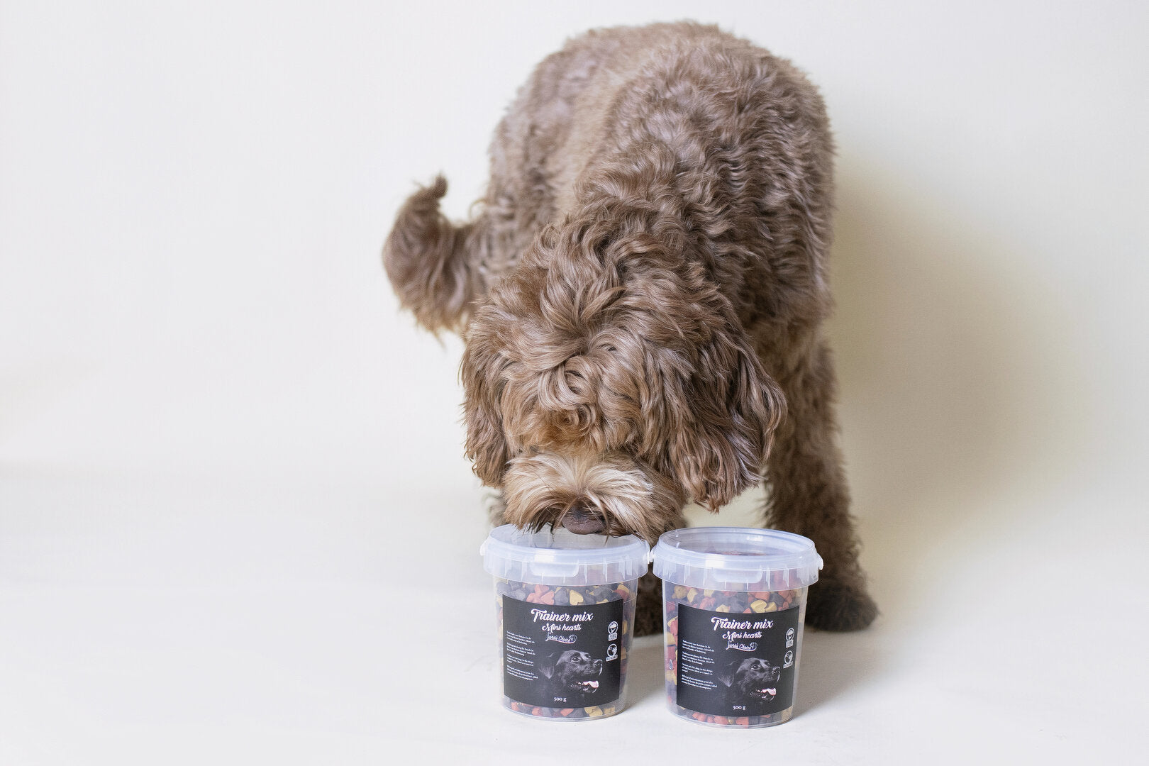 Puppy Startpakket voor Labradoodles – Complete Rustige Startset