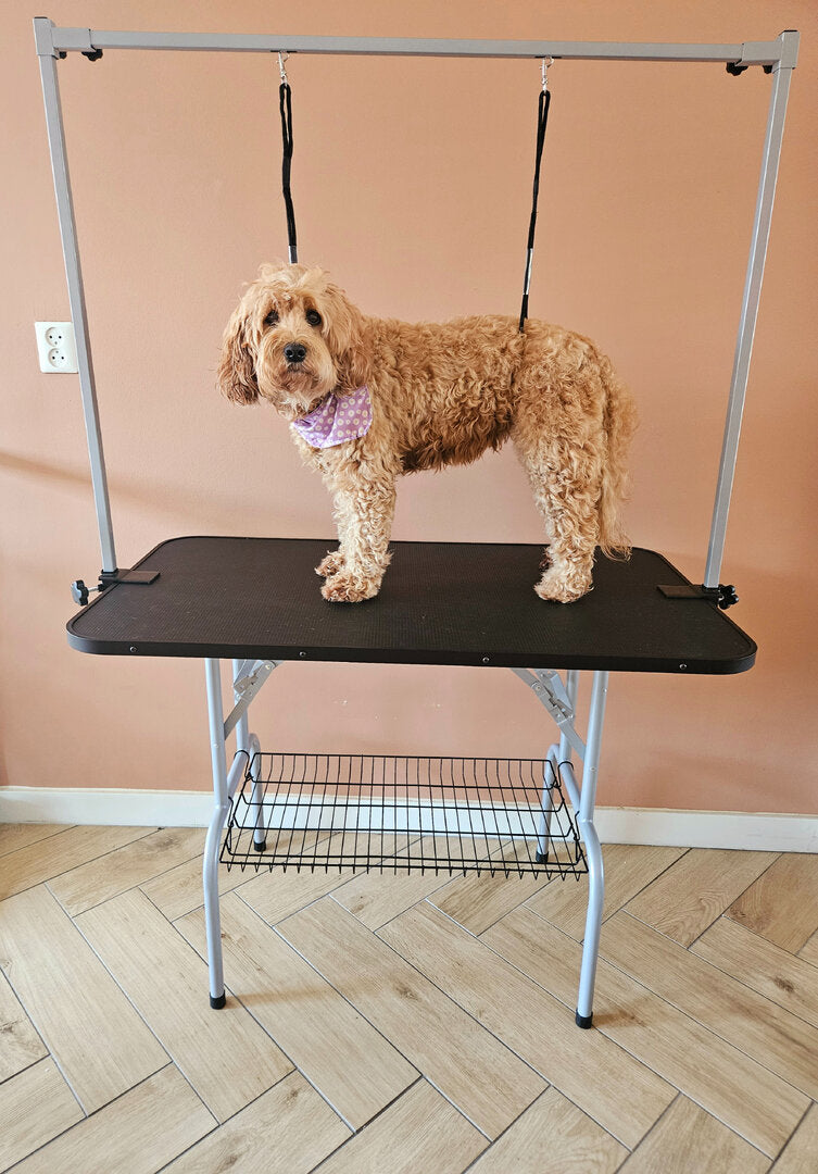 Trimtafel voor Labradoodle – Antislip Hondentrimtafel met Dubbele Trimarm