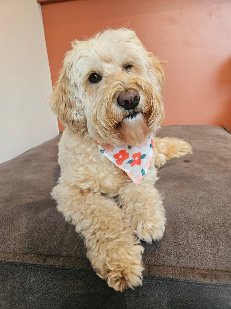 Bandana bloemen