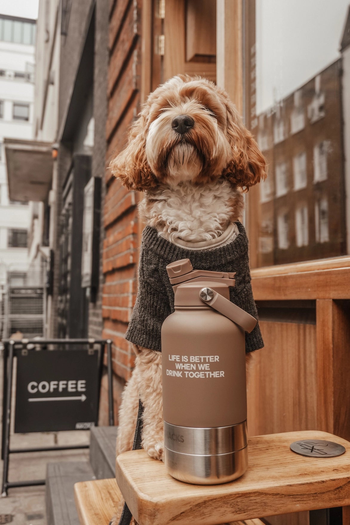 Drinkfles Hond 3-in-1 – By Teddy Bowl Bottle 2.0 Chocolate