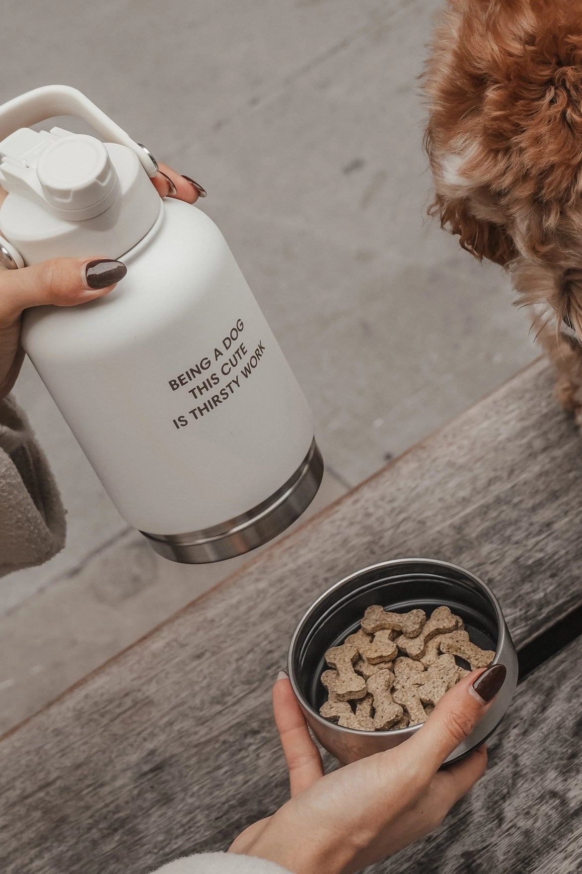 Drinkfles Hond 3-in-1 – By Teddy Bowl Bottle 2.0 Chocolate