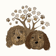 Betuwse Labradoodles Shop logo