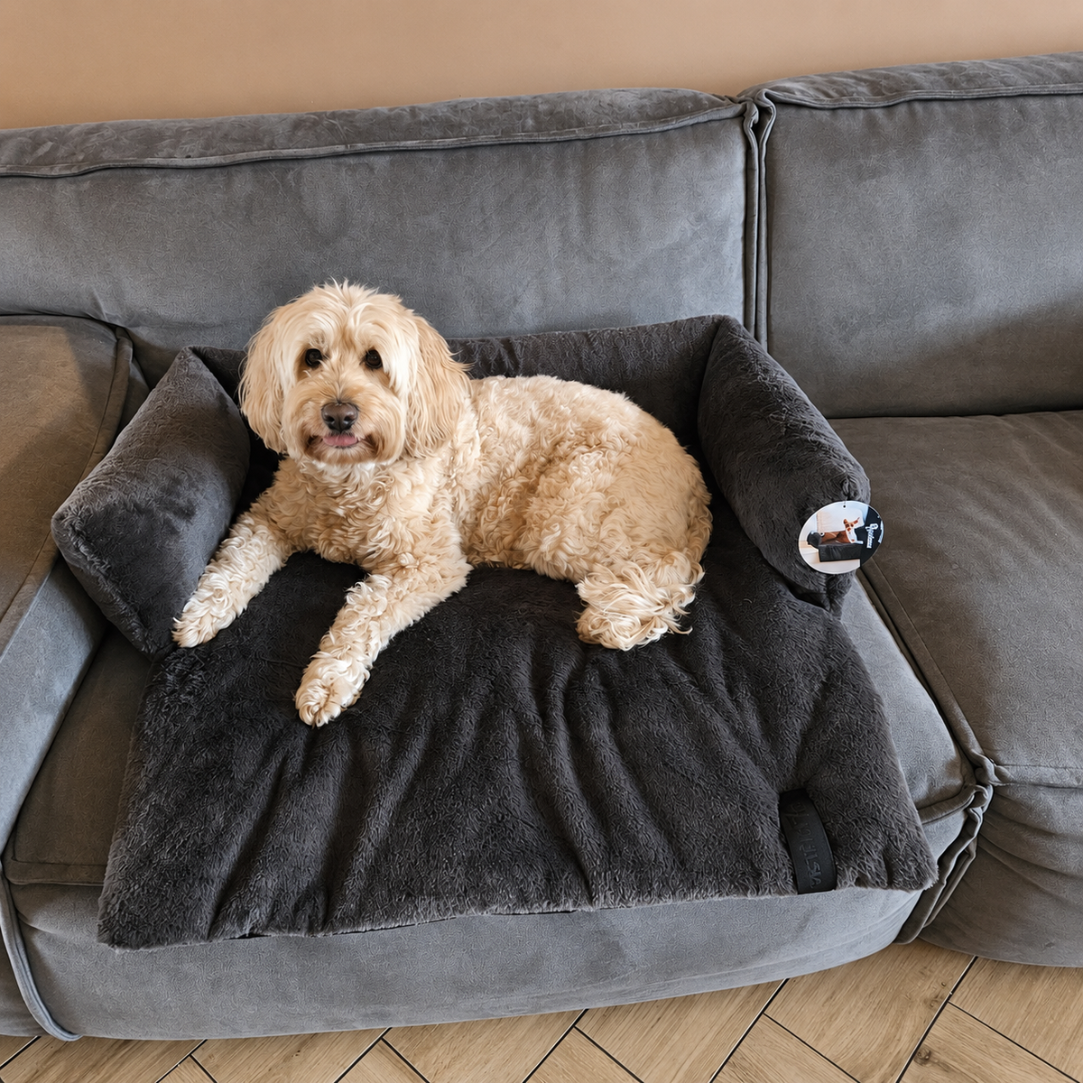 Hondenmand voor op de Bank – District 70 NUZZLE voor Labradoodle