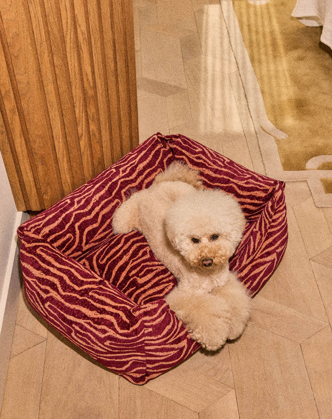 DOGGUO Ethnic sofa hondenmand - Bordeaux/Perzik - sfeerbeeld met hond