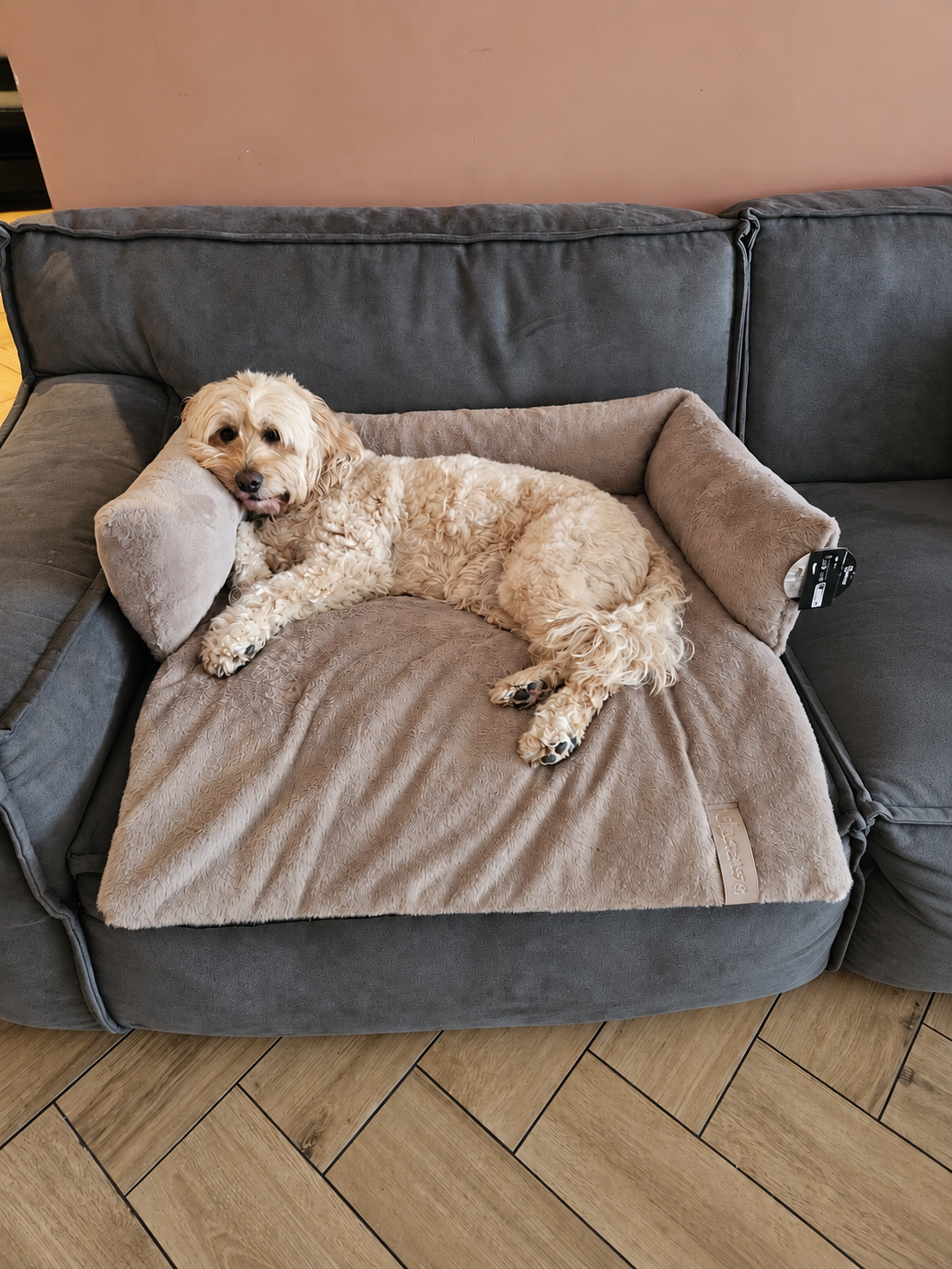 Hondenmand voor op de Bank – District 70 NUZZLE voor Labradoodle