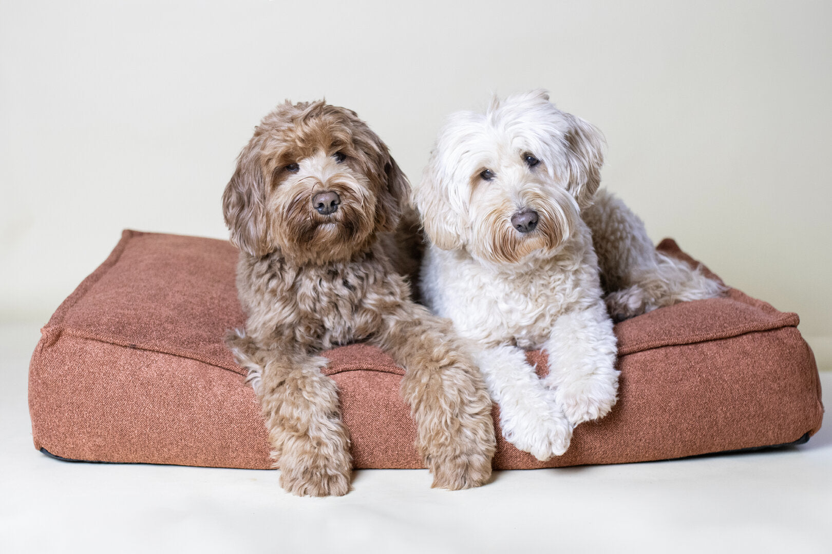 Hondenkussen Labradoodle – Oana Rechthoekig Terracotta (Memory Foam)