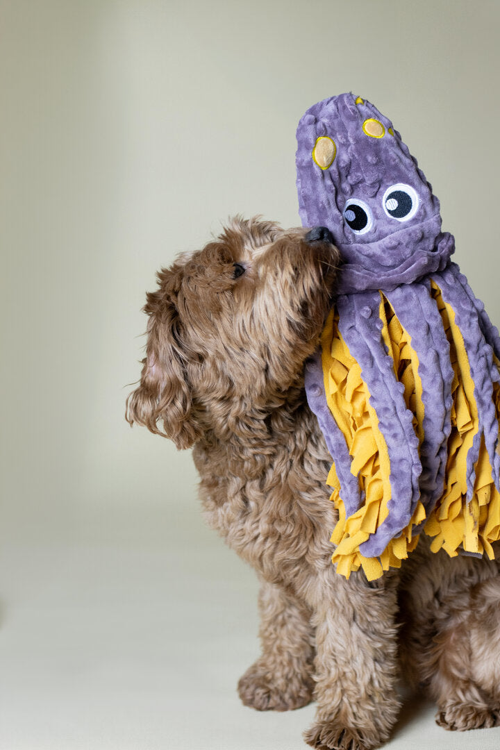 Snuffelmat Puppy Inktvis – Labradoodle Snuffelmat & Puppy Denkspel