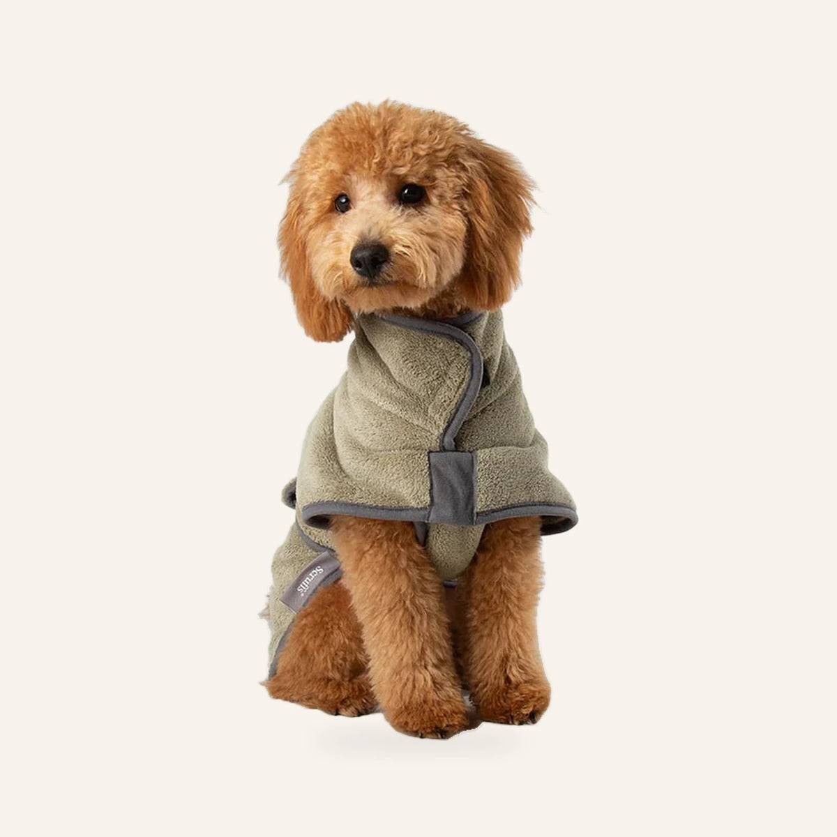 Hondenbadjas Labradoodle – Deluxe Noodle | 5× Absorberend