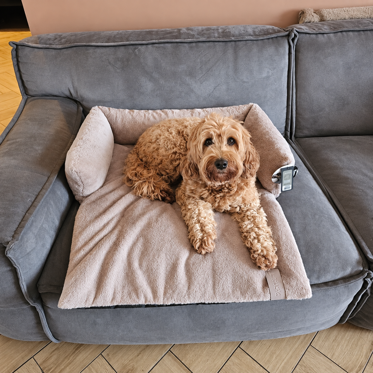 Hondenmand voor op de Bank – District 70 NUZZLE voor Labradoodle