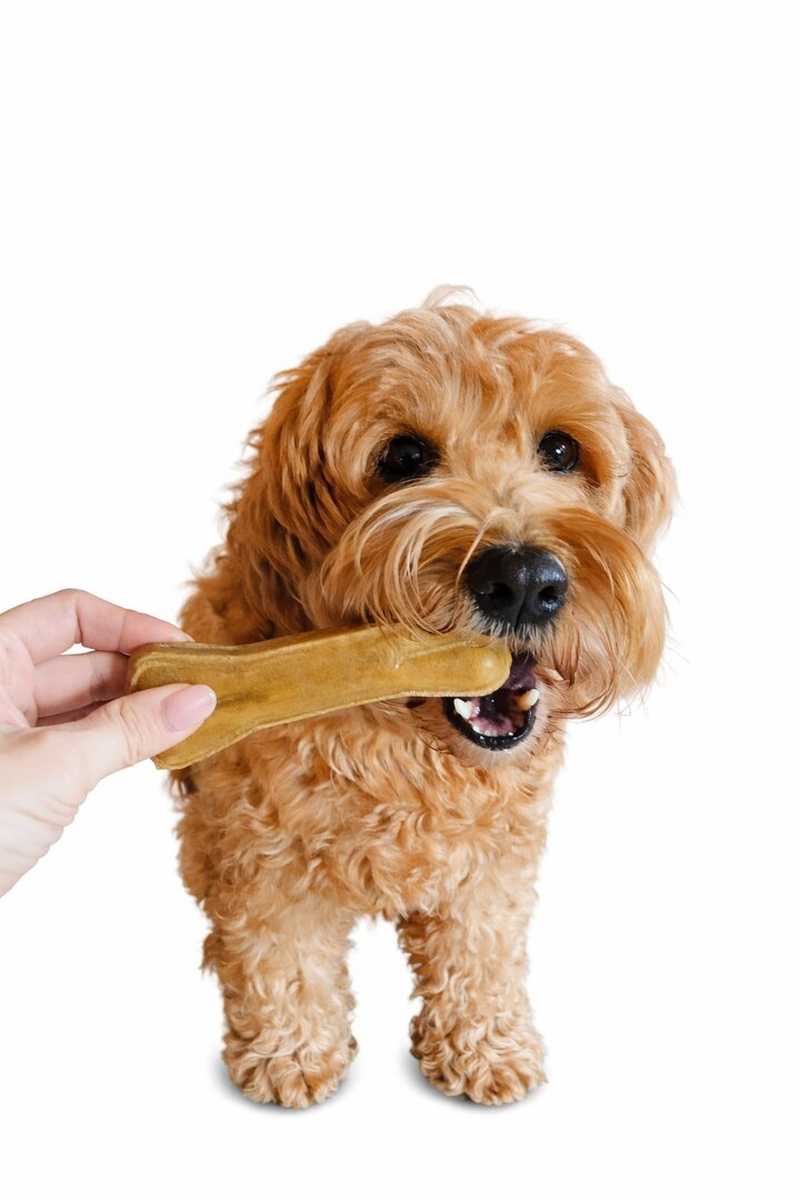 Kauwbot hond buffelhuid – veilig kauwbeen Labradoodle | Betuwe