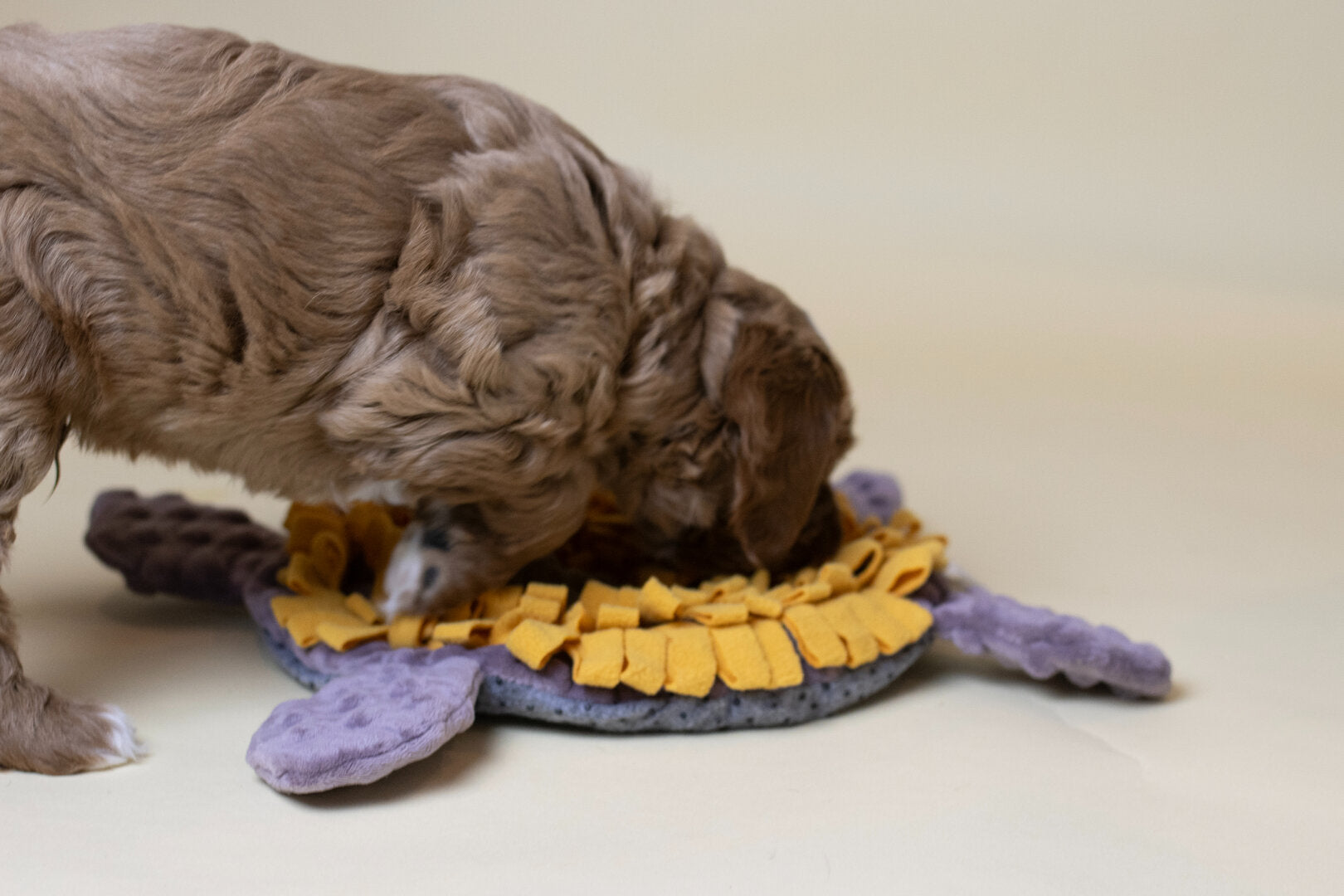 Snuffelmat Puppy Schildpad – Labradoodle Snuffelmat & Puppy Denkspel
