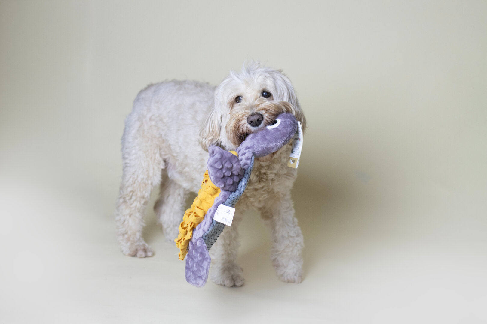 Snuffelmat Puppy Schildpad – Labradoodle Snuffelmat & Puppy Denkspel