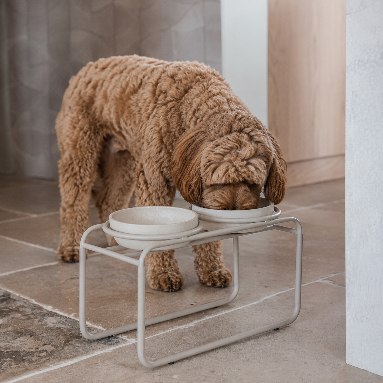 Stel je Verhoogde Voerbakset voor je Labradoodle Samen