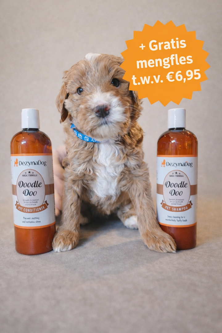 Labradoodle Was Pakket – Shampoo & Conditioner Set