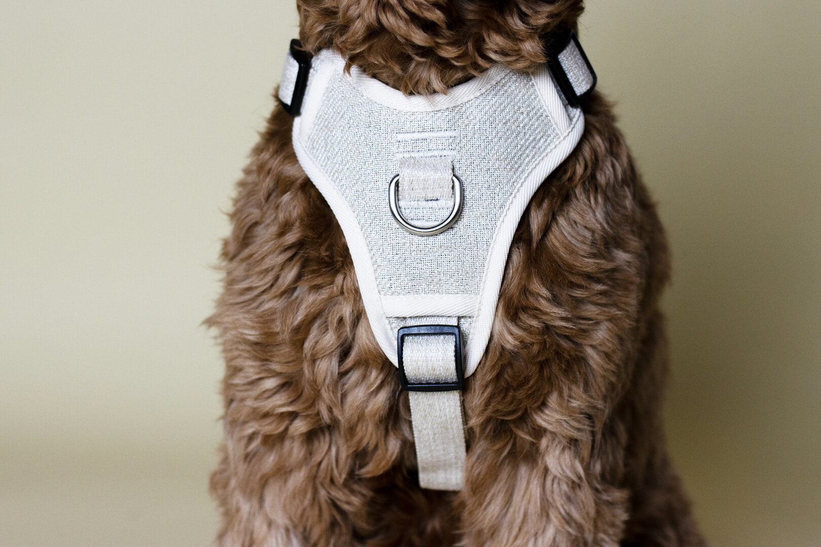 Luxe Hondentuig "Lago" Beige – Comfortabel, Ademend & Anti-Trek (S t/m L)