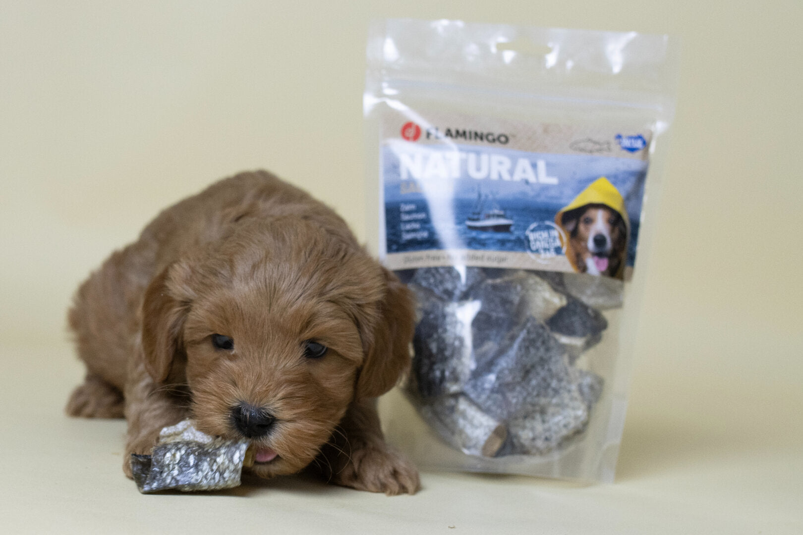 Natuurlijke Vis Hondensnacks – Kabeljauwhuid & Zalmhuid voor Hond en Puppy