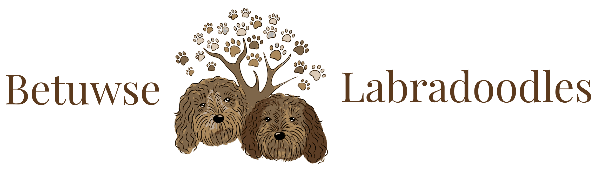Betuwse Labradoodles Shop
