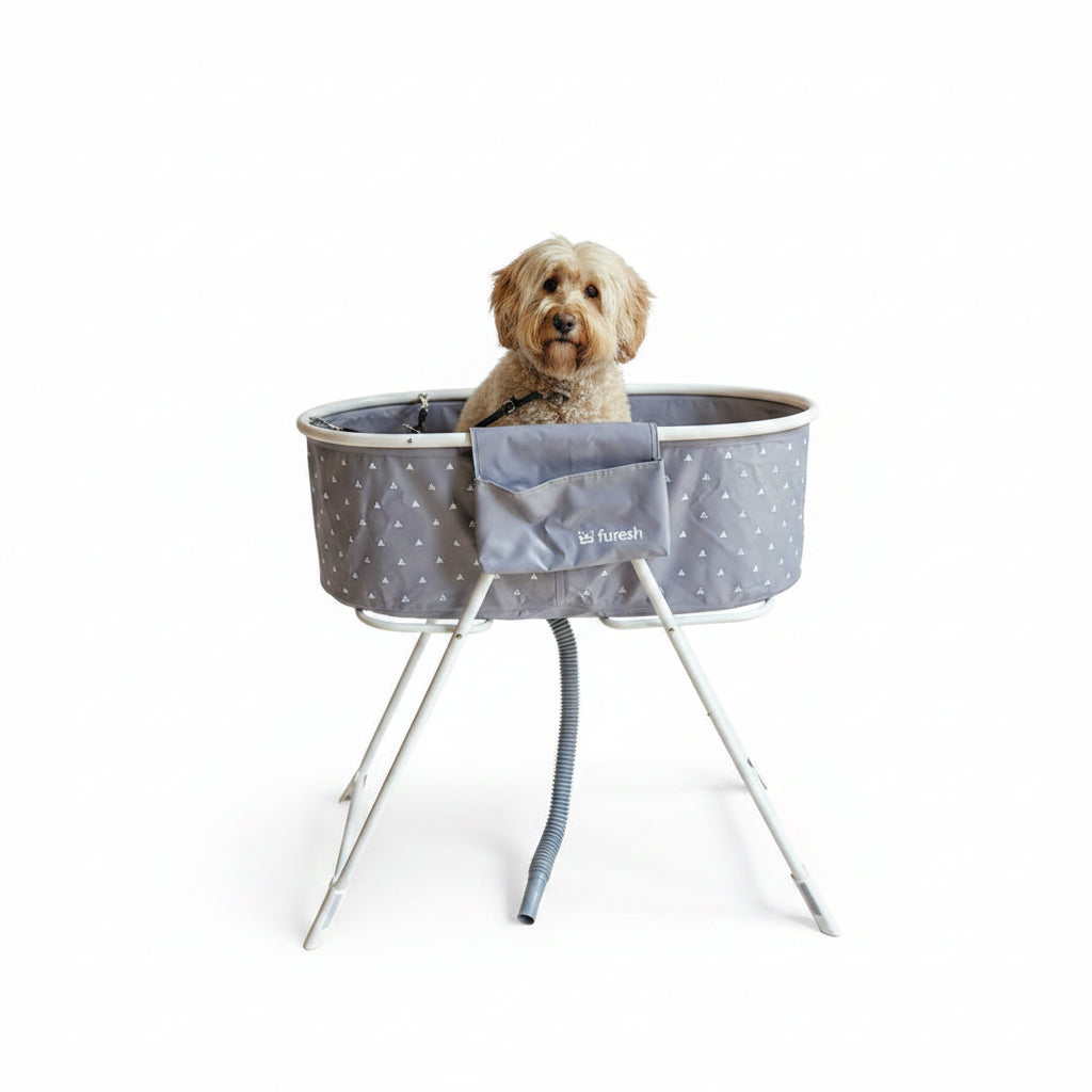 Opvouwbaar Hondenbad voor Labradoodles – Verhoogd & Wassen Zonder bukken