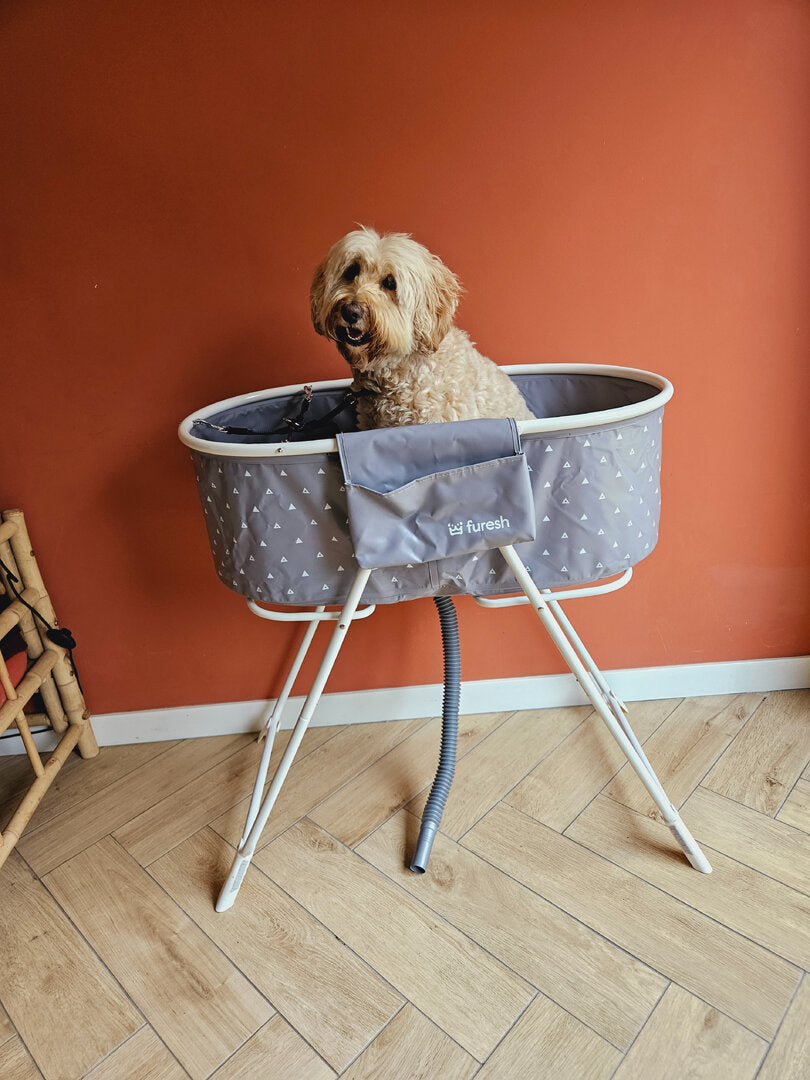 Opvouwbaar Hondenbad voor Labradoodles – Verhoogd & Wassen Zonder Stress