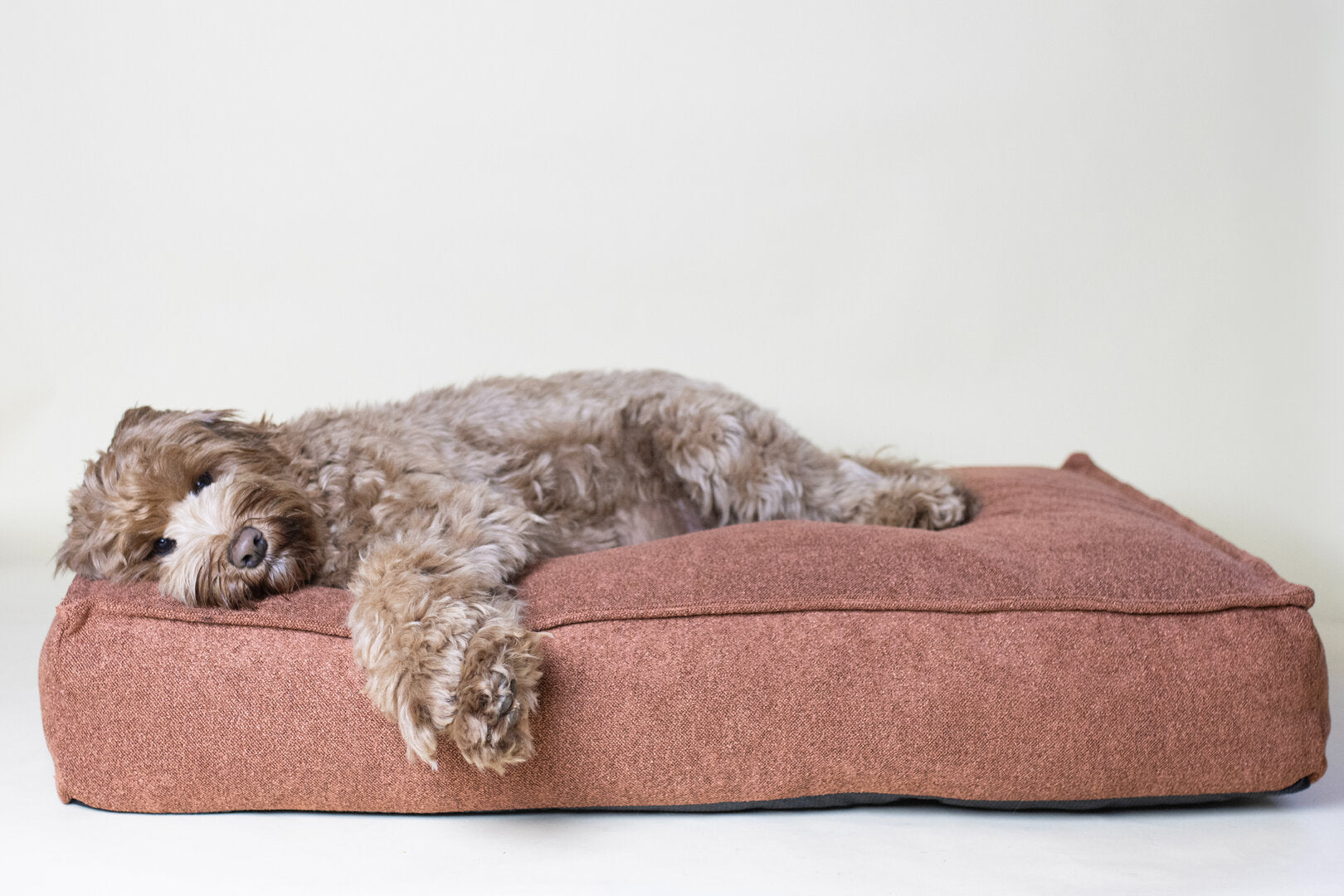 Hondenkussen Labradoodle – Oana Rechthoekig Terracotta (Memory Foam)