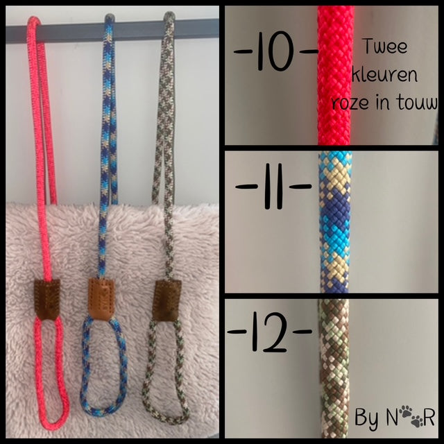 Trainingslijn voor Labradoodles – Veilig, Wasbaar en Met Veiligheidsring