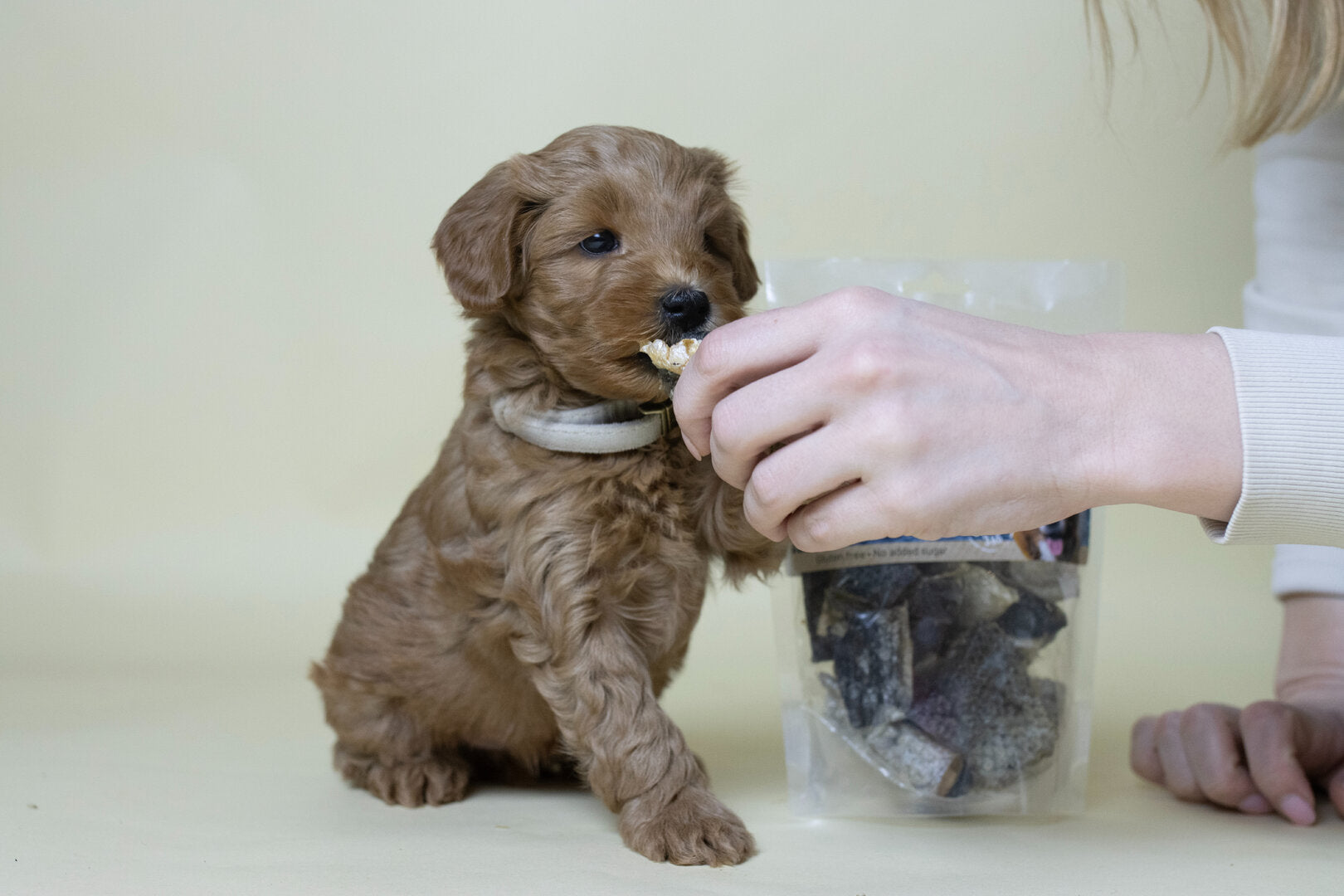 Natuurlijke Vis Hondensnacks – Kabeljauwhuid & Zalmhuid voor Hond en Puppy