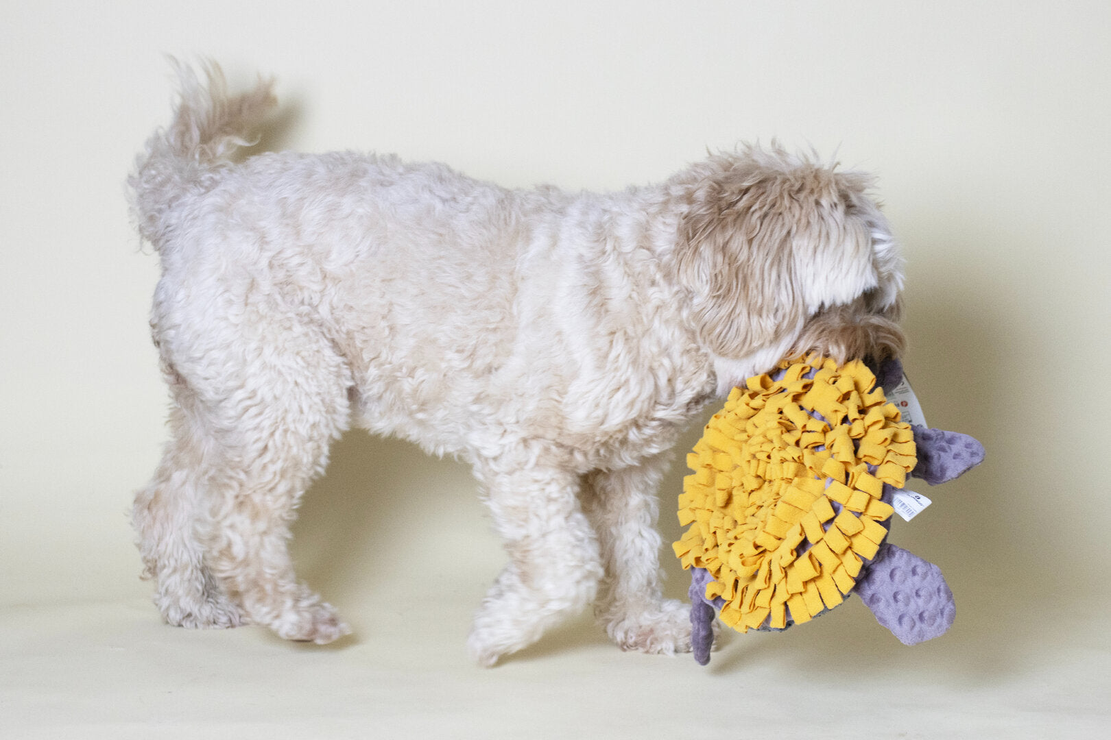 Snuffelmat Puppy Schildpad – Labradoodle Snuffelmat & Puppy Denkspel