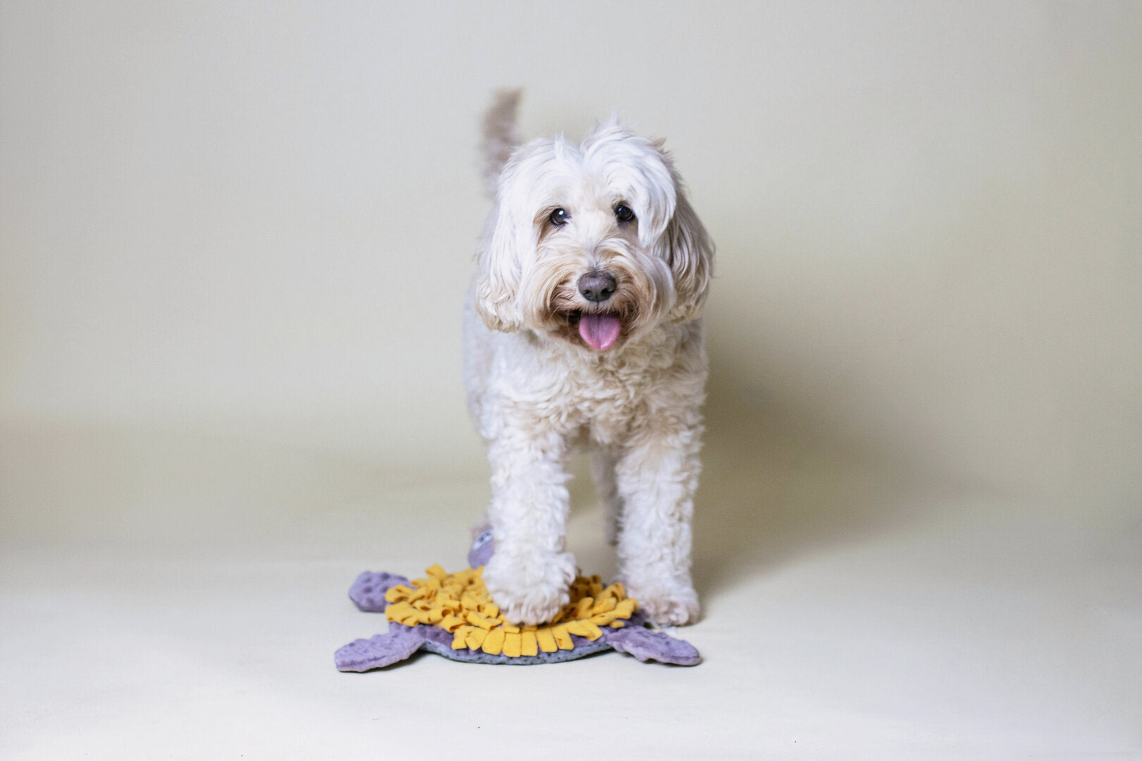 Snuffelmat Puppy Schildpad – Labradoodle Snuffelmat & Puppy Denkspel